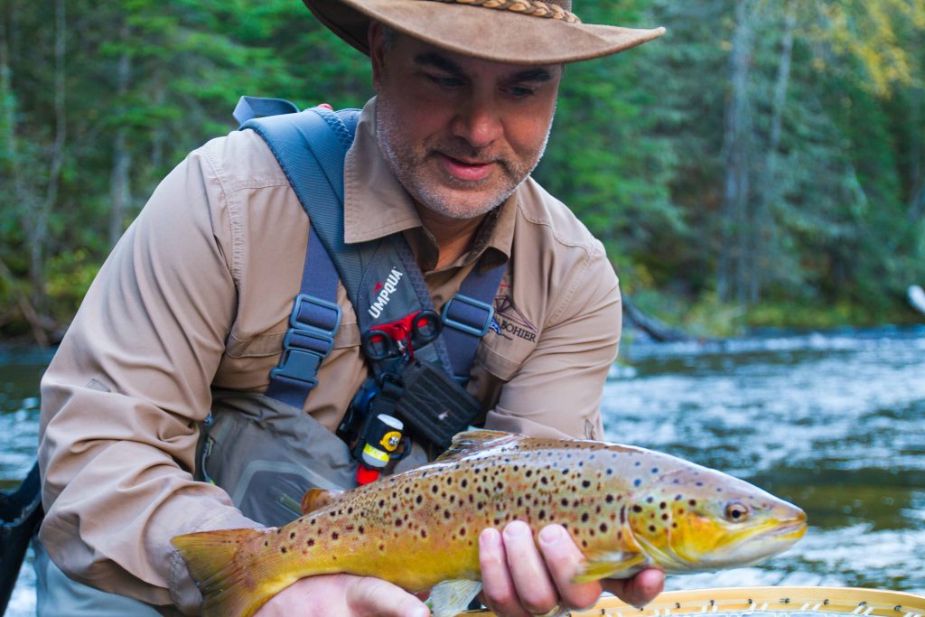 Can I call this a grand slam or do I need a rainbow? Landlocked salmon,  Brook trout, Brown trout! : r/troutfishing