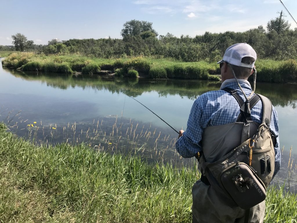 Fly Fishing Bow River 