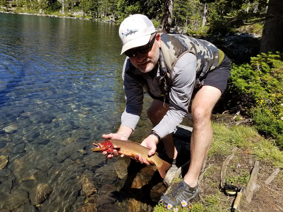 Never Sniff a Dead Horse on The Trail” - Fly Fishing Journeys