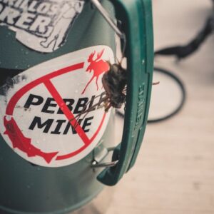 Next Step in Protections for Bristol Bay: Take Action Today