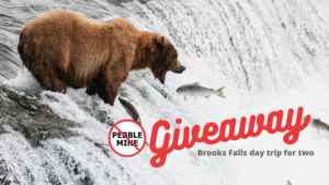 Enter to win a trip to Brooks Falls in Katmai National Park