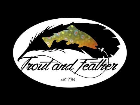 Trout and Feather 2